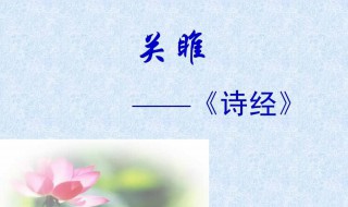 关雎的翻译 关雎怎么翻译