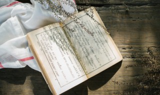 静若繁花的意思有哪些 静若繁花的意思是什么