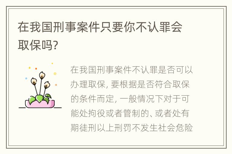 在我国刑事案件只要你不认罪会取保吗？