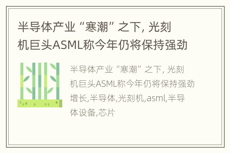 半导体产业“寒潮”之下，光刻机巨头ASML称今年仍将保持强劲增长