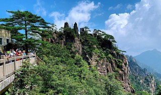 黄山四绝 黄山四绝是什么