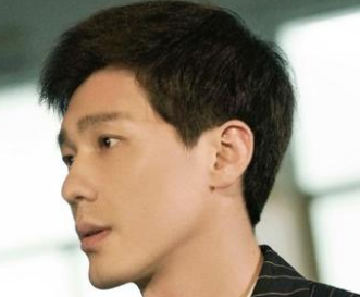 《龙城》是什么小说改编的