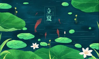 立夏吃什么蛋 立夏的简介