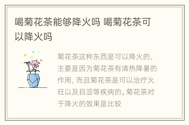 喝菊花茶能够降火吗 喝菊花茶可以降火吗