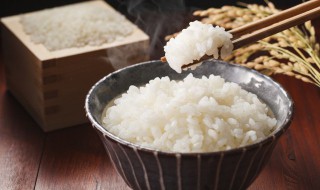 端午黄米饭如何做 黄米饭怎么做