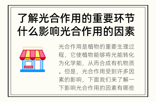 了解光合作用的重要环节 什么影响光合作用的因素？