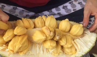 菠萝蜜的核的功效与作用 菠萝蜜的核有什么功效