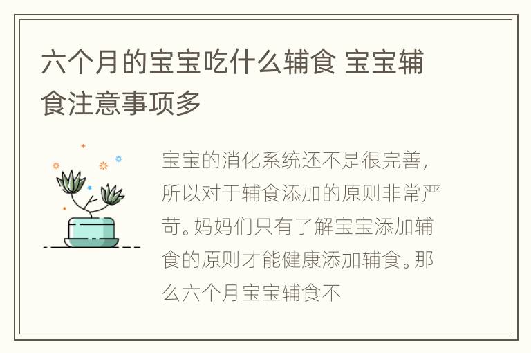 六个月的宝宝吃什么辅食 宝宝辅食注意事项多