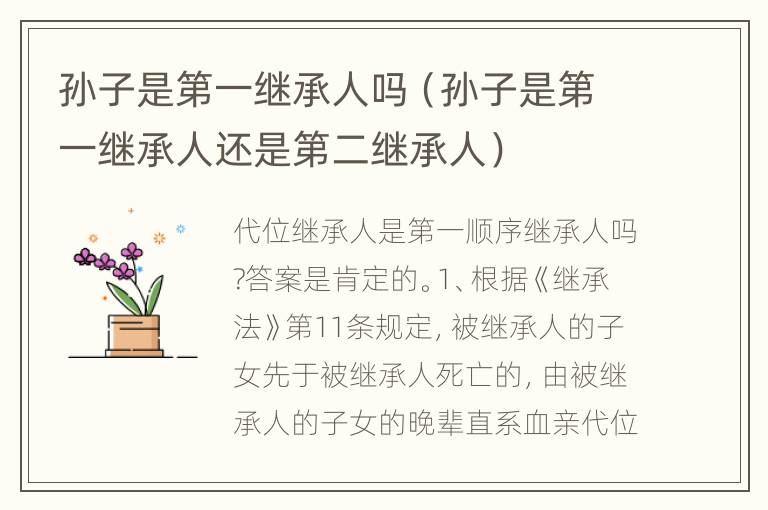 孙子是第一继承人吗（孙子是第一继承人还是第二继承人）