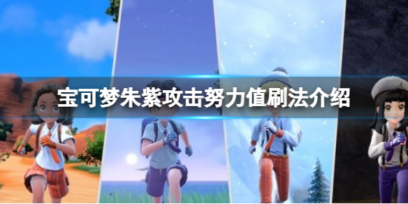 宝可梦朱紫攻击努力值刷法介绍 宝可梦朱紫攻击努力值怎么刷
