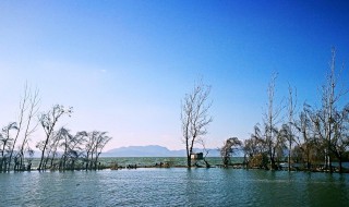 云南的气候特征是什么 云南的气候特征介绍