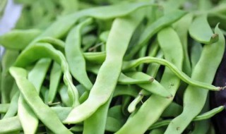 长期保存新鲜芸豆方法 长期保存新鲜芸豆方法介绍