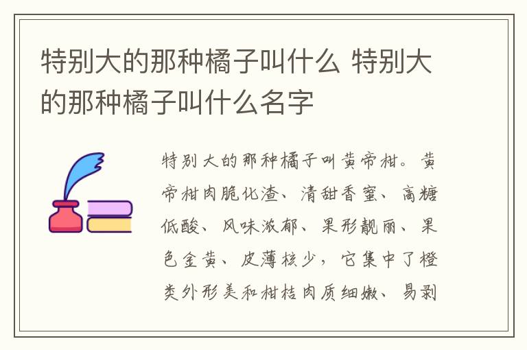 特别大的那种橘子叫什么 特别大的那种橘子叫什么名字