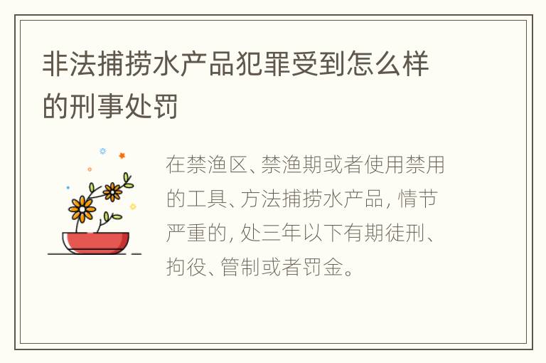 非法捕捞水产品犯罪受到怎么样的刑事处罚
