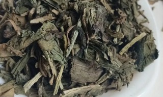 大青叶与板蓝根的区别 大青叶与板蓝根的区别是蛇虫苗吧
