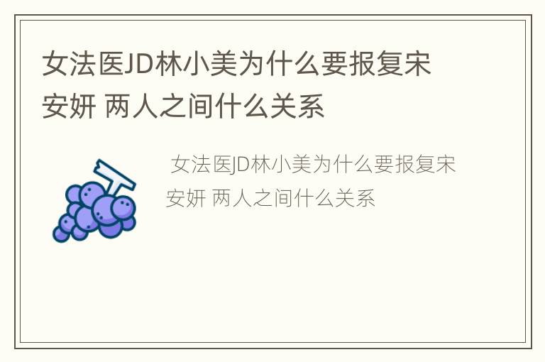 女法医JD林小美为什么要报复宋安妍 两人之间什么关系