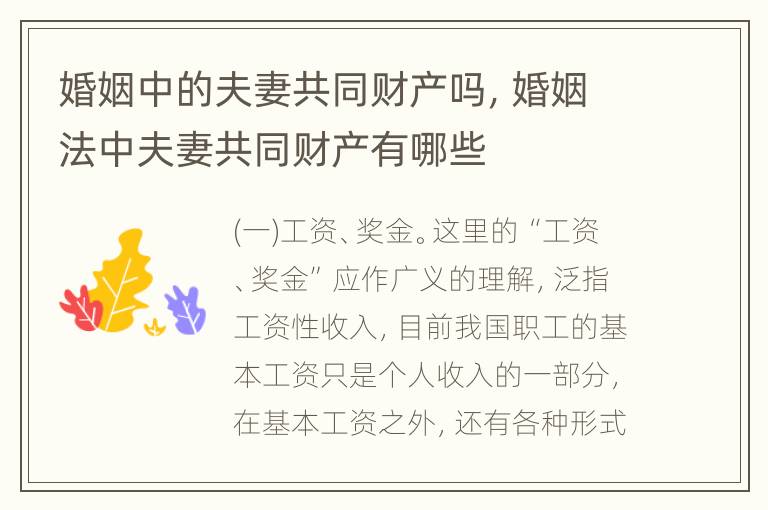 婚姻中的夫妻共同财产吗，婚姻法中夫妻共同财产有哪些