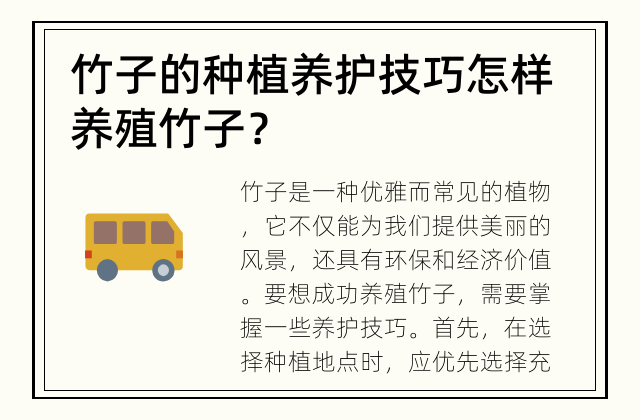 竹子的种植养护技巧 怎样养殖竹子？