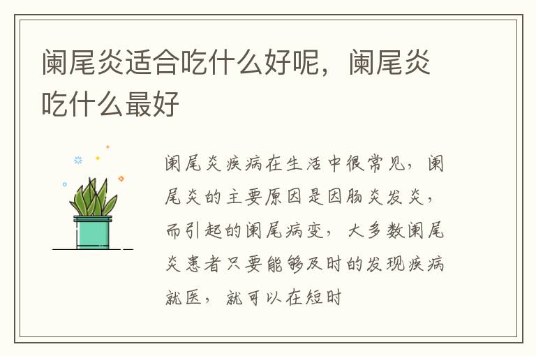 阑尾炎适合吃什么好呢，阑尾炎吃什么最好
