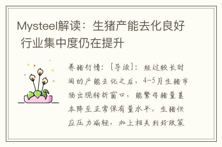 Mysteel解读：生猪产能去化良好 行业集中度仍在提升