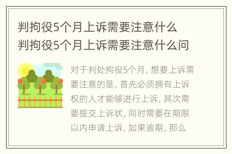 判拘役5个月上诉需要注意什么 判拘役5个月上诉需要注意什么问题