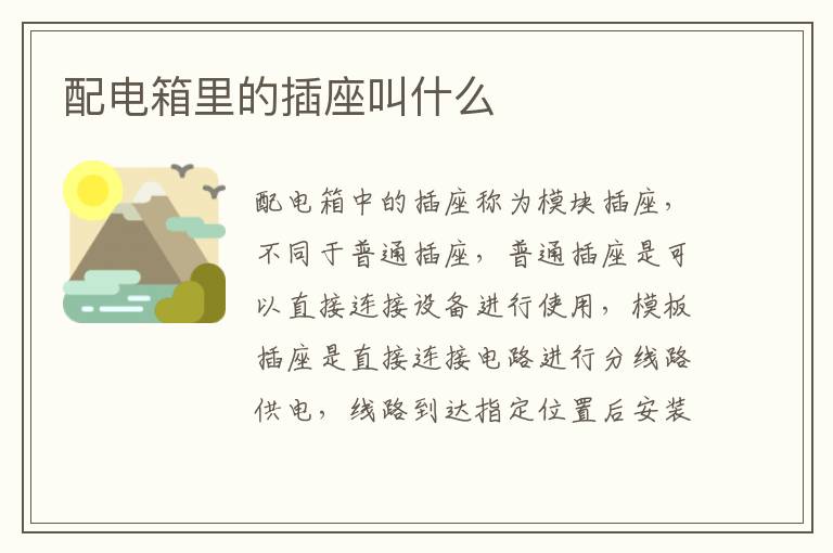 配电箱里的插座叫什么