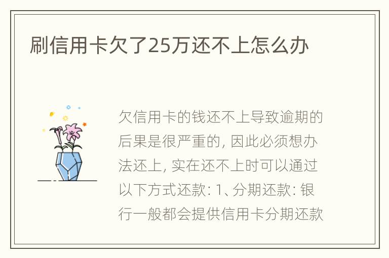 刷信用卡欠了25万还不上怎么办
