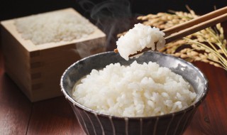 水米比例是多少? 蒸米饭水米比例为多少合适
