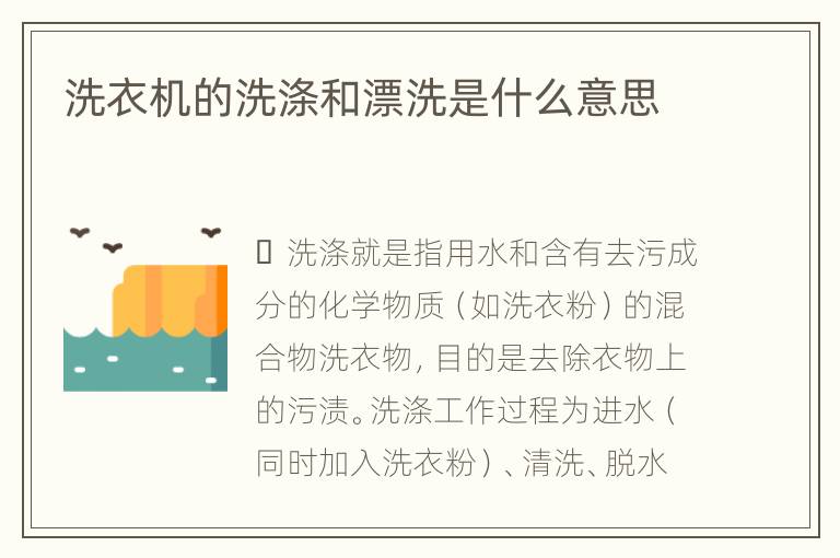 洗衣机的洗涤和漂洗是什么意思