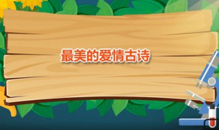 最美的爱情古诗 五首绝对经典的爱情古诗词推荐