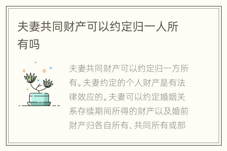 夫妻共同财产可以约定归一人所有吗