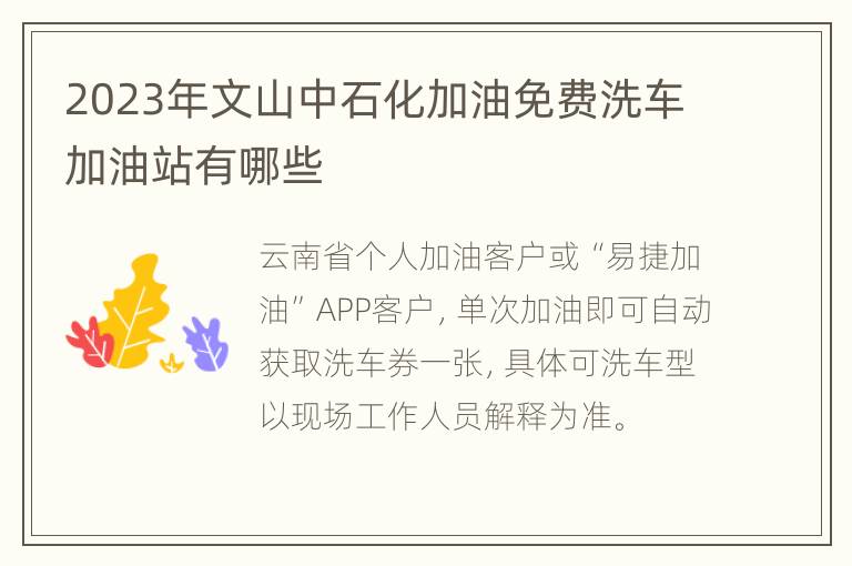 2023年文山中石化加油免费洗车加油站有哪些