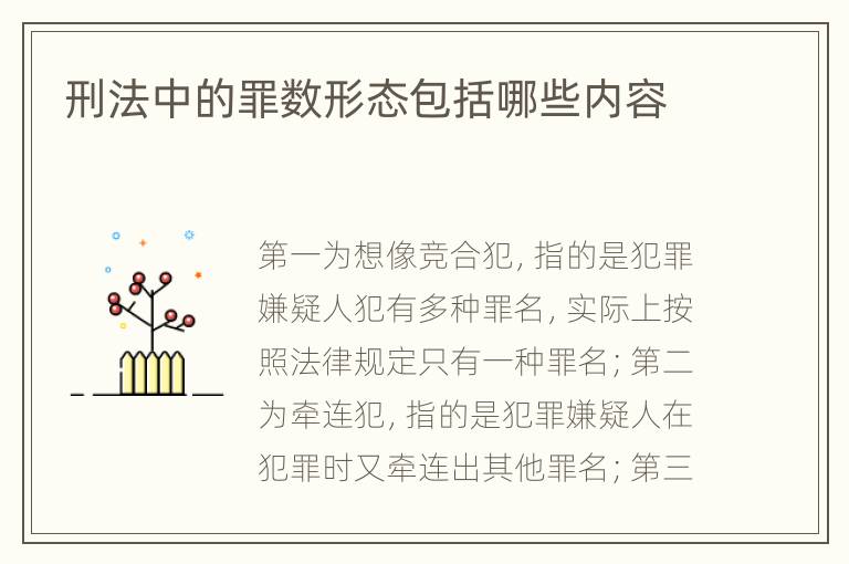 刑法中的罪数形态包括哪些内容
