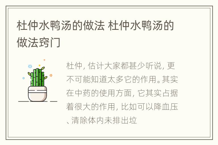 杜仲水鸭汤的做法 杜仲水鸭汤的做法窍门
