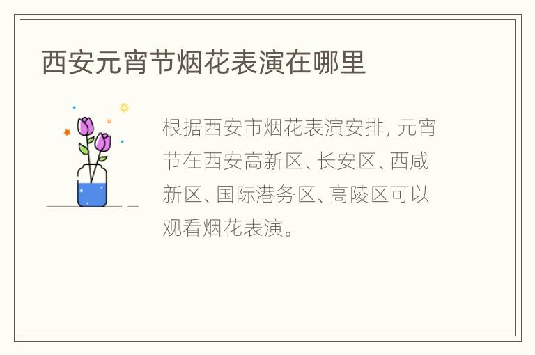 西安元宵节烟花表演在哪里