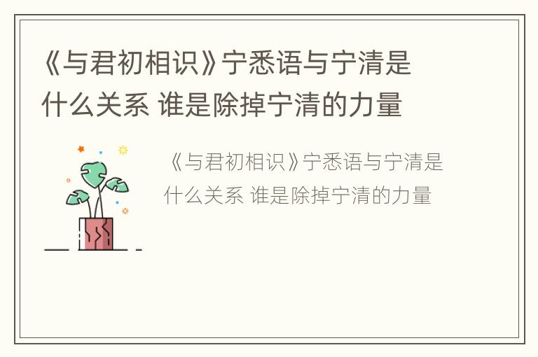 《与君初相识》宁悉语与宁清是什么关系 谁是除掉宁清的力量