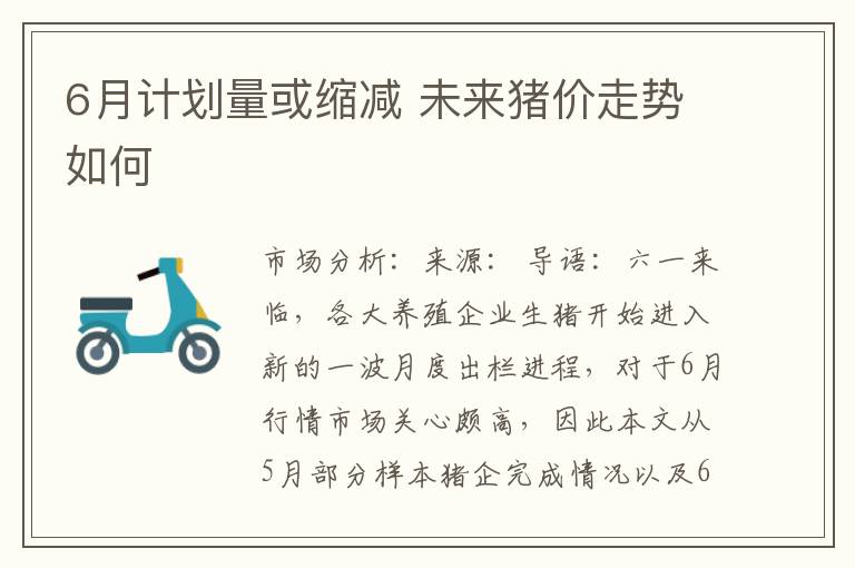 6月计划量或缩减 未来猪价走势如何