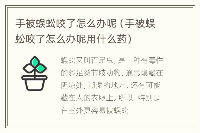 手被蜈蚣咬了怎么办呢（手被蜈蚣咬了怎么办呢用什么药）