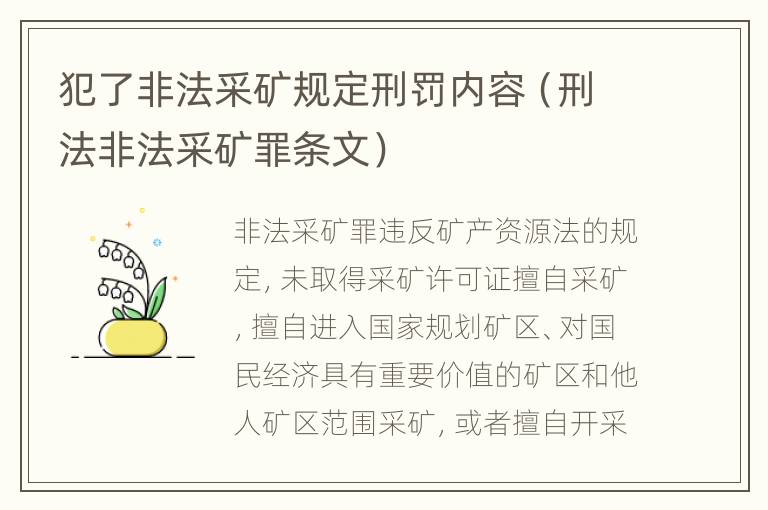 犯了非法采矿规定刑罚内容（刑法非法采矿罪条文）