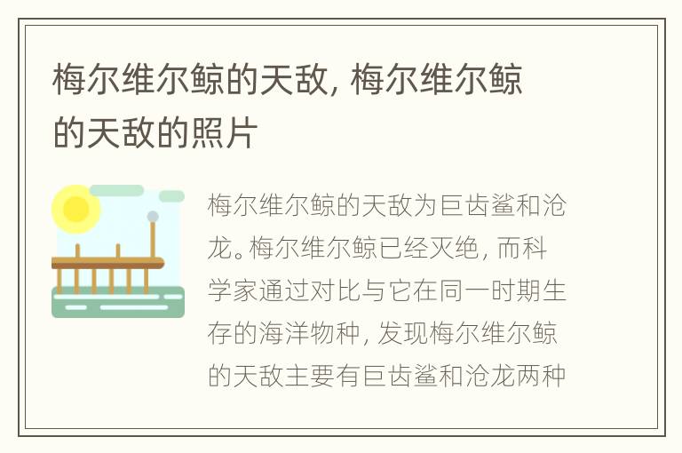 梅尔维尔鲸的天敌，梅尔维尔鲸的天敌的照片