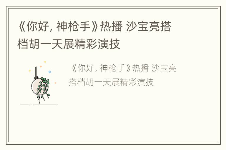 《你好，神枪手》热播 沙宝亮搭档胡一天展精彩演技