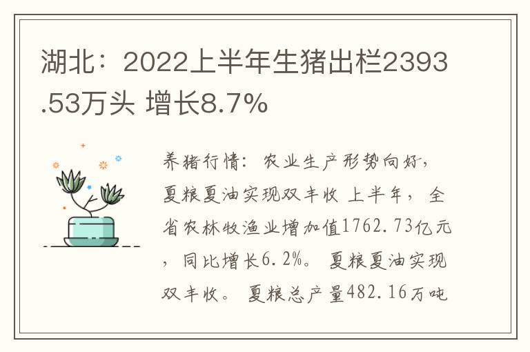 湖北：2022上半年生猪出栏2393.53万头 增长8.7%