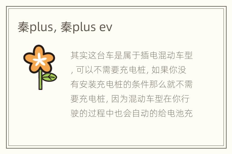 秦plus，秦plus ev