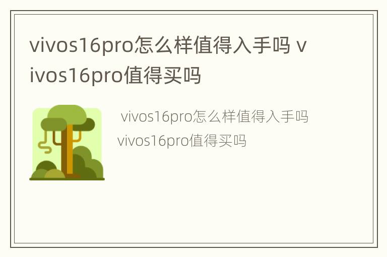 vivos16pro怎么样值得入手吗 vivos16pro值得买吗