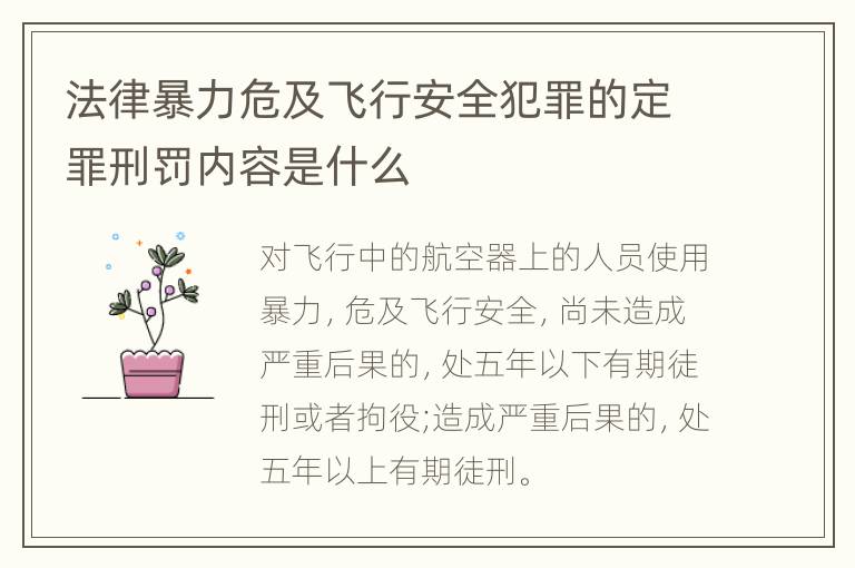 法律暴力危及飞行安全犯罪的定罪刑罚内容是什么
