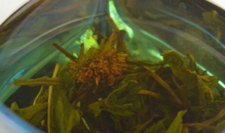 罗布麻和玉米须能一起泡水吗 罗布麻和玉米须能不能一起泡水