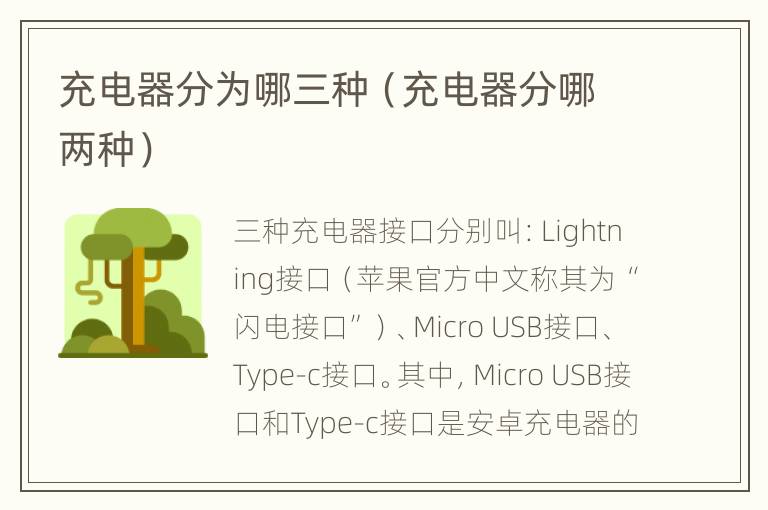 充电器分为哪三种（充电器分哪两种）