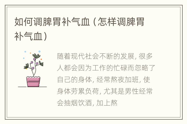 如何调脾胃补气血（怎样调脾胃补气血）