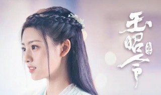 玉昭令原著叫什么 玉昭令原著是什么