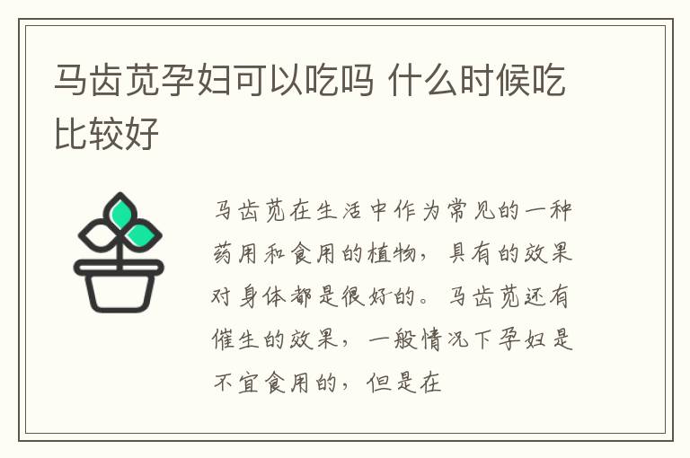 马齿苋孕妇可以吃吗 什么时候吃比较好